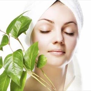 Herbal Tips For Breast Enlargement - How Do Breast Success Pills Compare With Other Natural Breast Enlargement Pills?